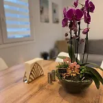 Woodland Apartmán *