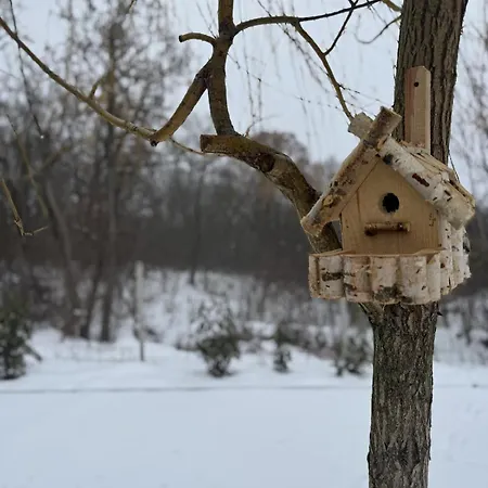 Apartment Woodland